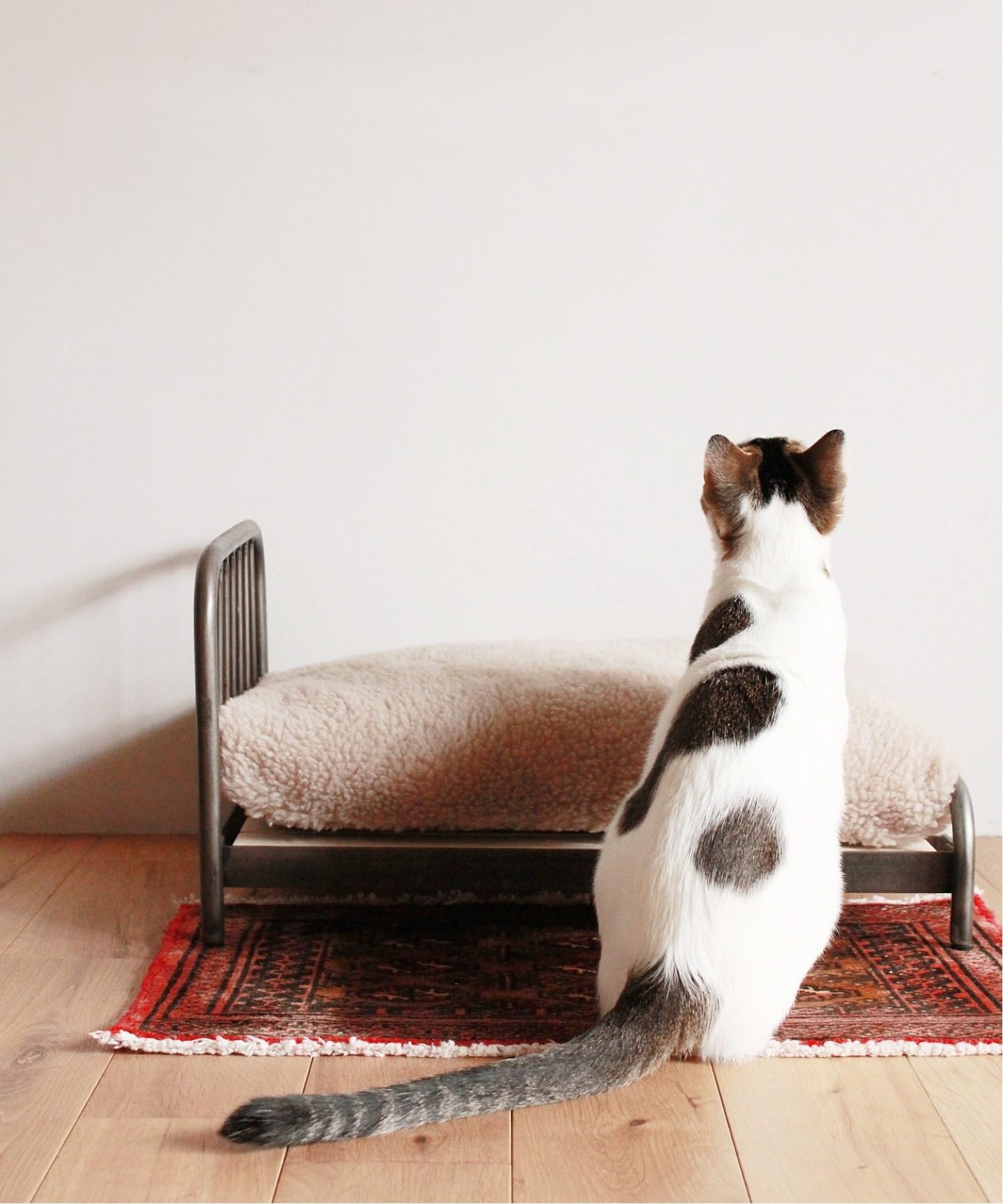 JOURNAL STANDARD FURNITURE・SENS BED・SIN JOURNAL STANDARD FURNITURE journal standard Furniture SENS